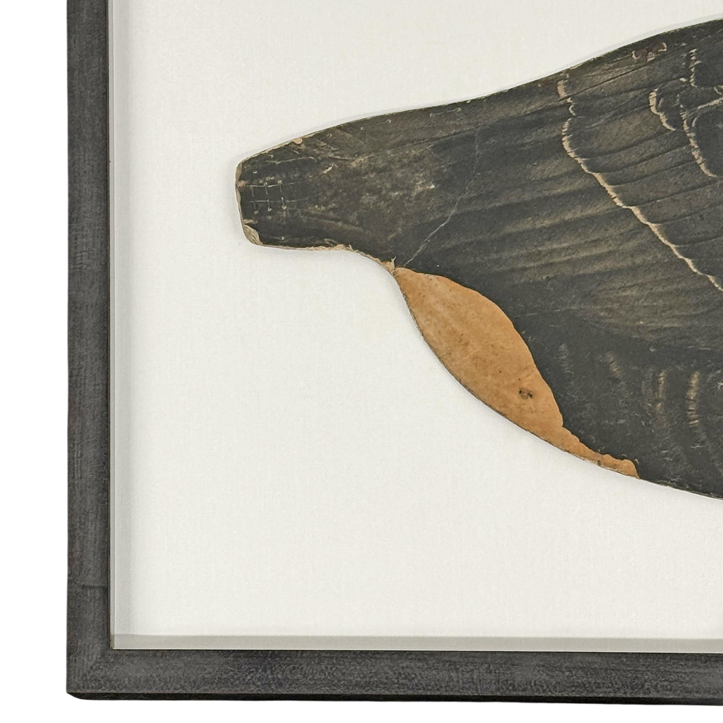 Gerahmter amerikanischer Canada Goose-Köder aus dem frühen 20. (Papier) im Angebot