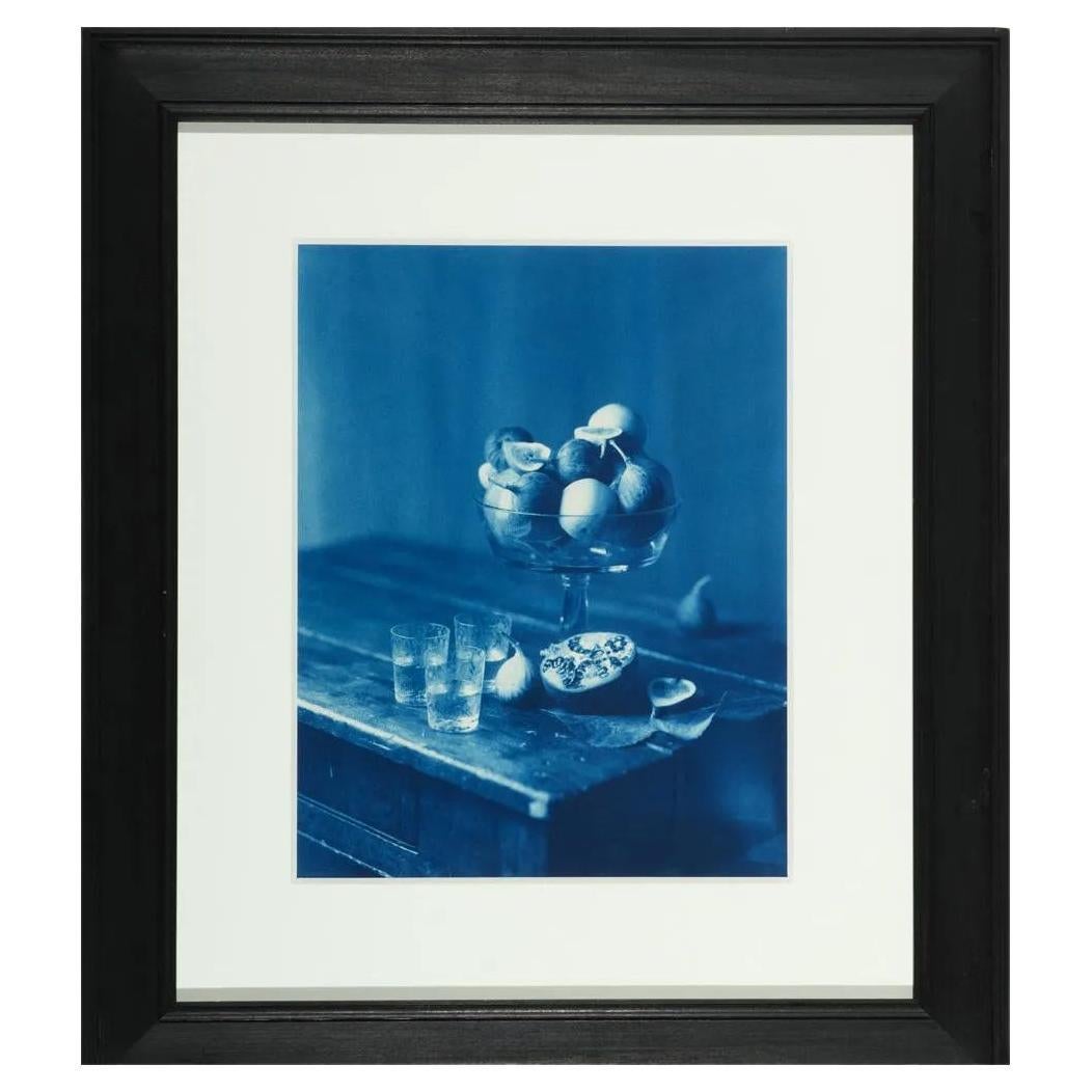 Framed Editioned Cyanotype Photography by John Dugdale