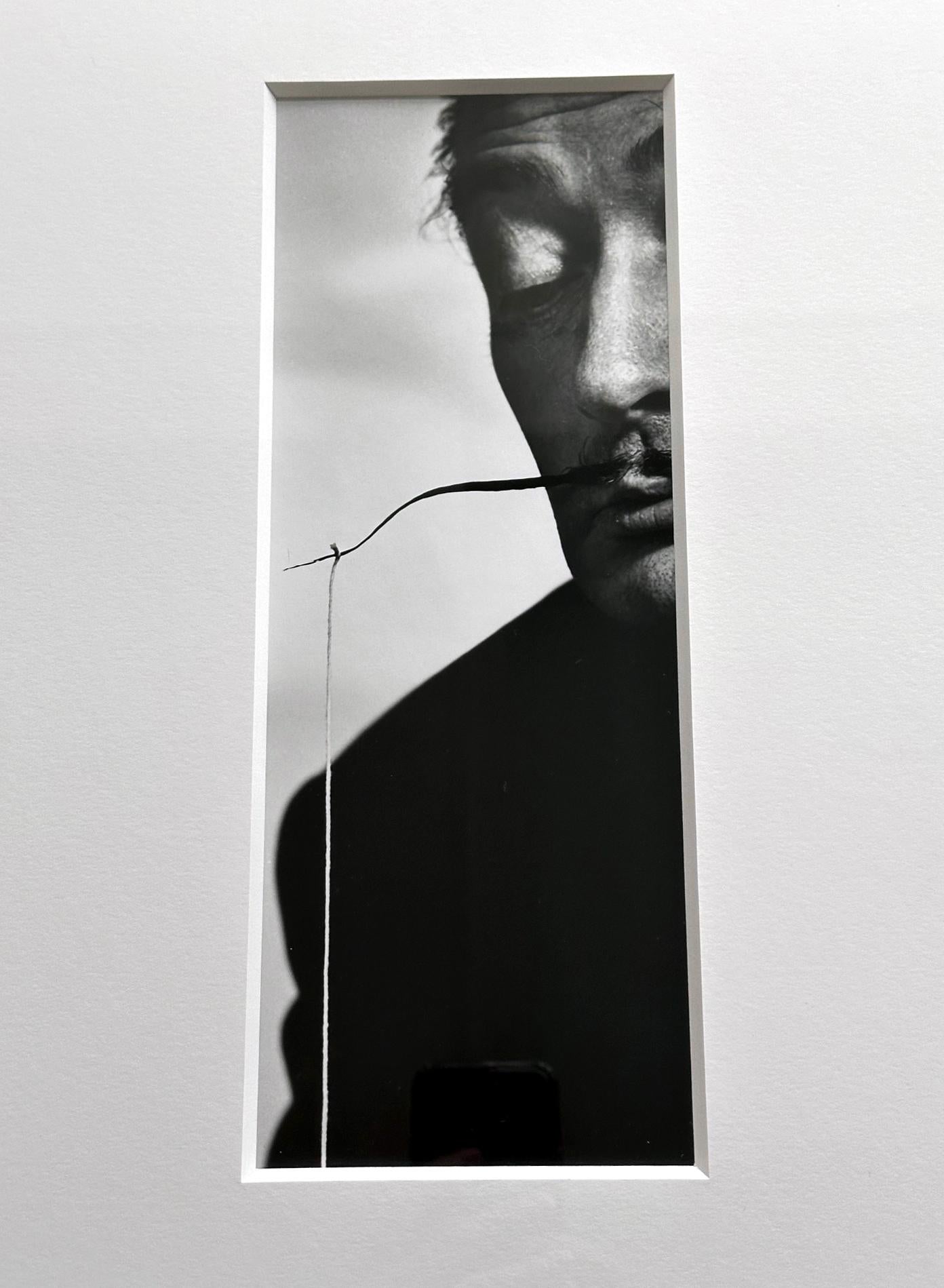 Modern Framed Editioned Dali Photograph by Philippe Halsman For Sale