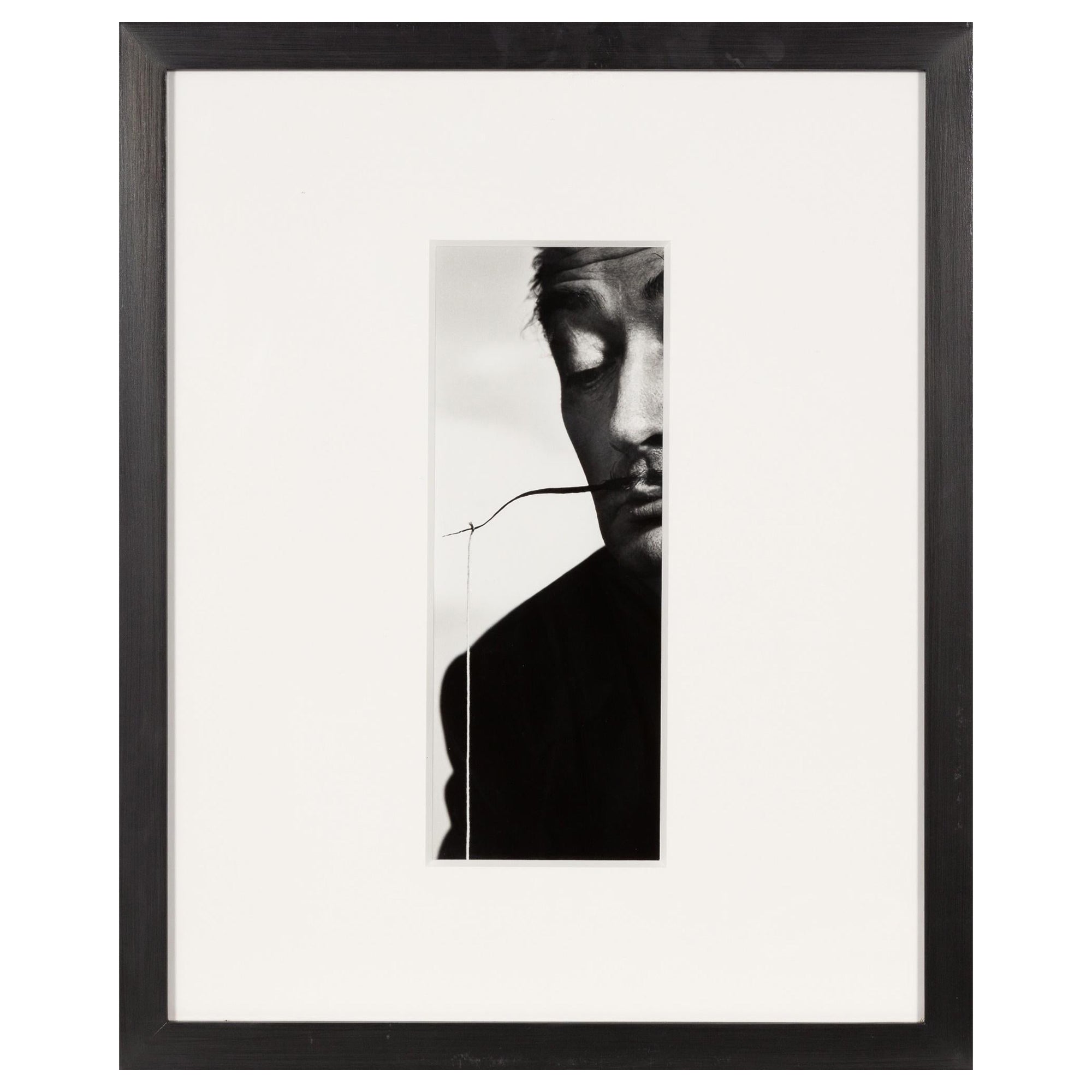 Framed Editioned Dali Photograph by Philippe Halsman