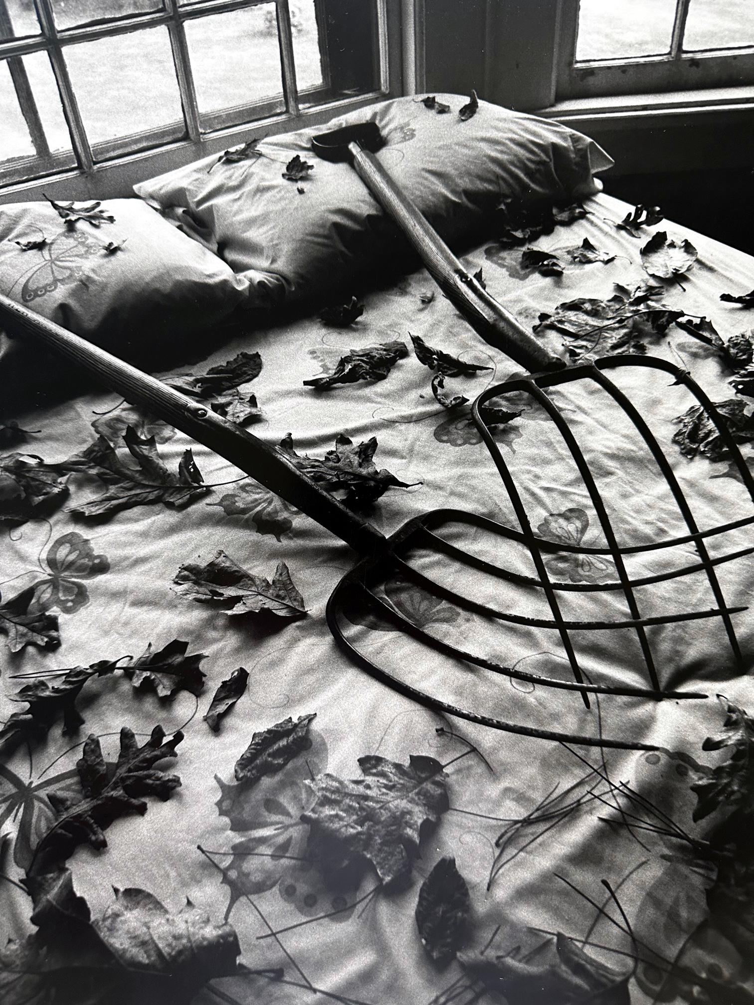Fotografía enmarcada y editada Rastrillando hojas Arthur Tress Moderno en venta