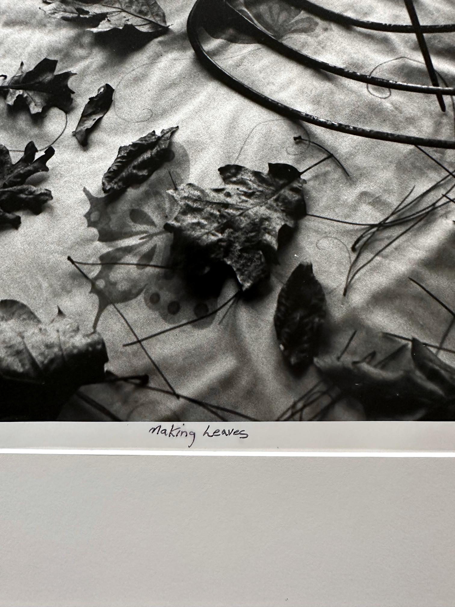 Framed Editioned Photograph Raking Leaves Arthur Tress In Good Condition For Sale In Atlanta, GA