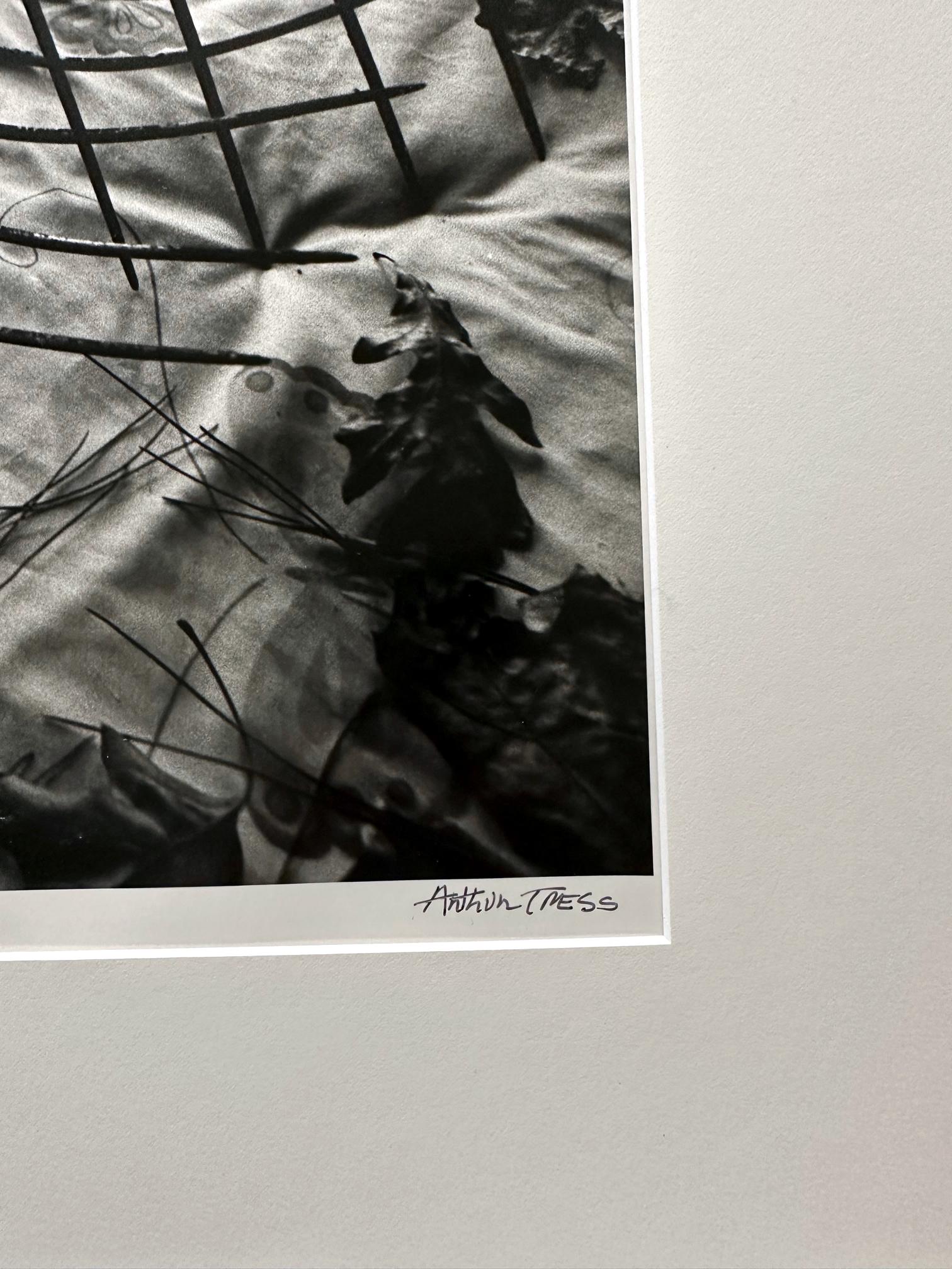 20th Century Framed Editioned Photograph Raking Leaves Arthur Tress For Sale