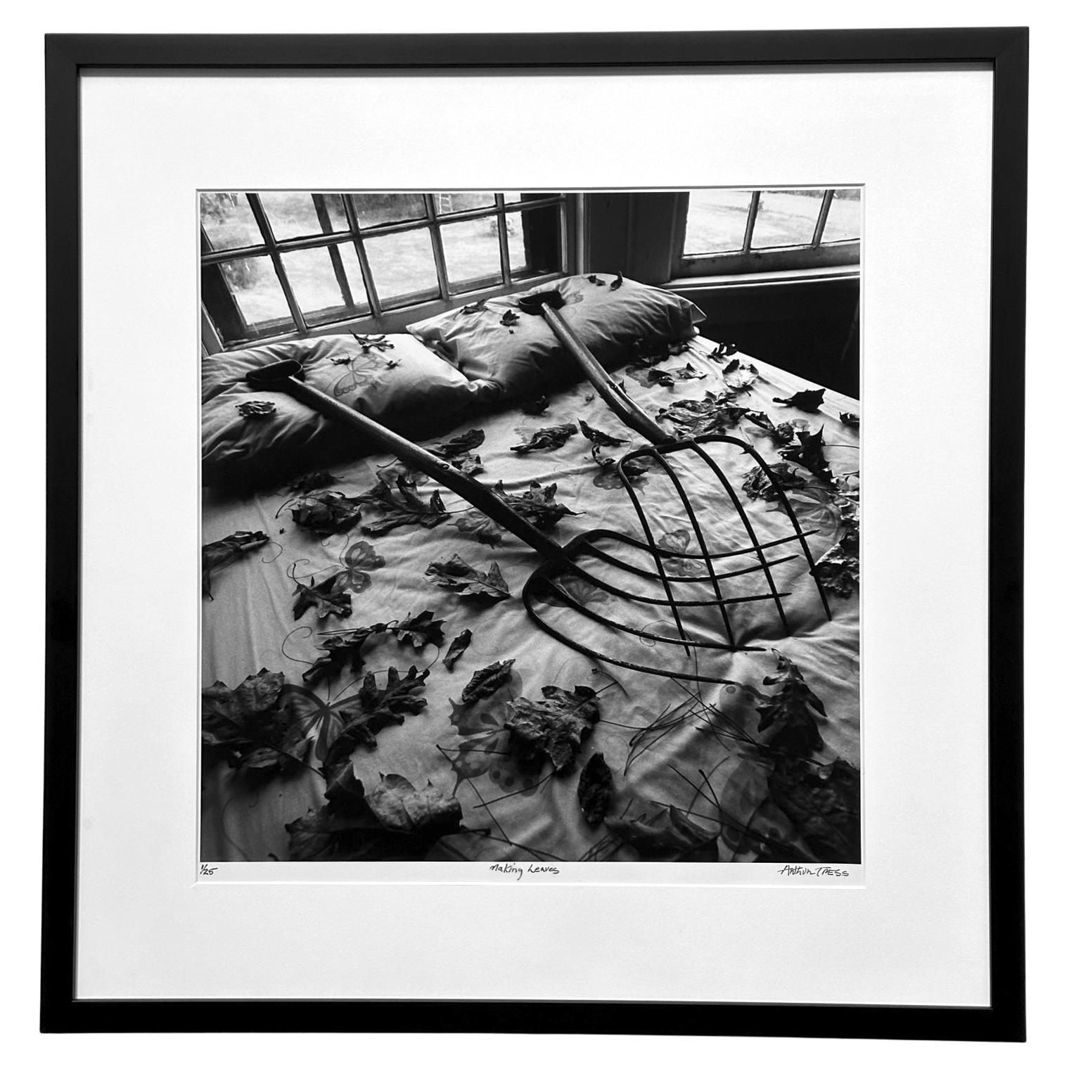 Framed Editioned Photograph Raking Leaves Arthur Tress For Sale