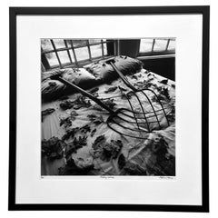 Framed Editioned Photograph Raking Leaves Arthur Tress