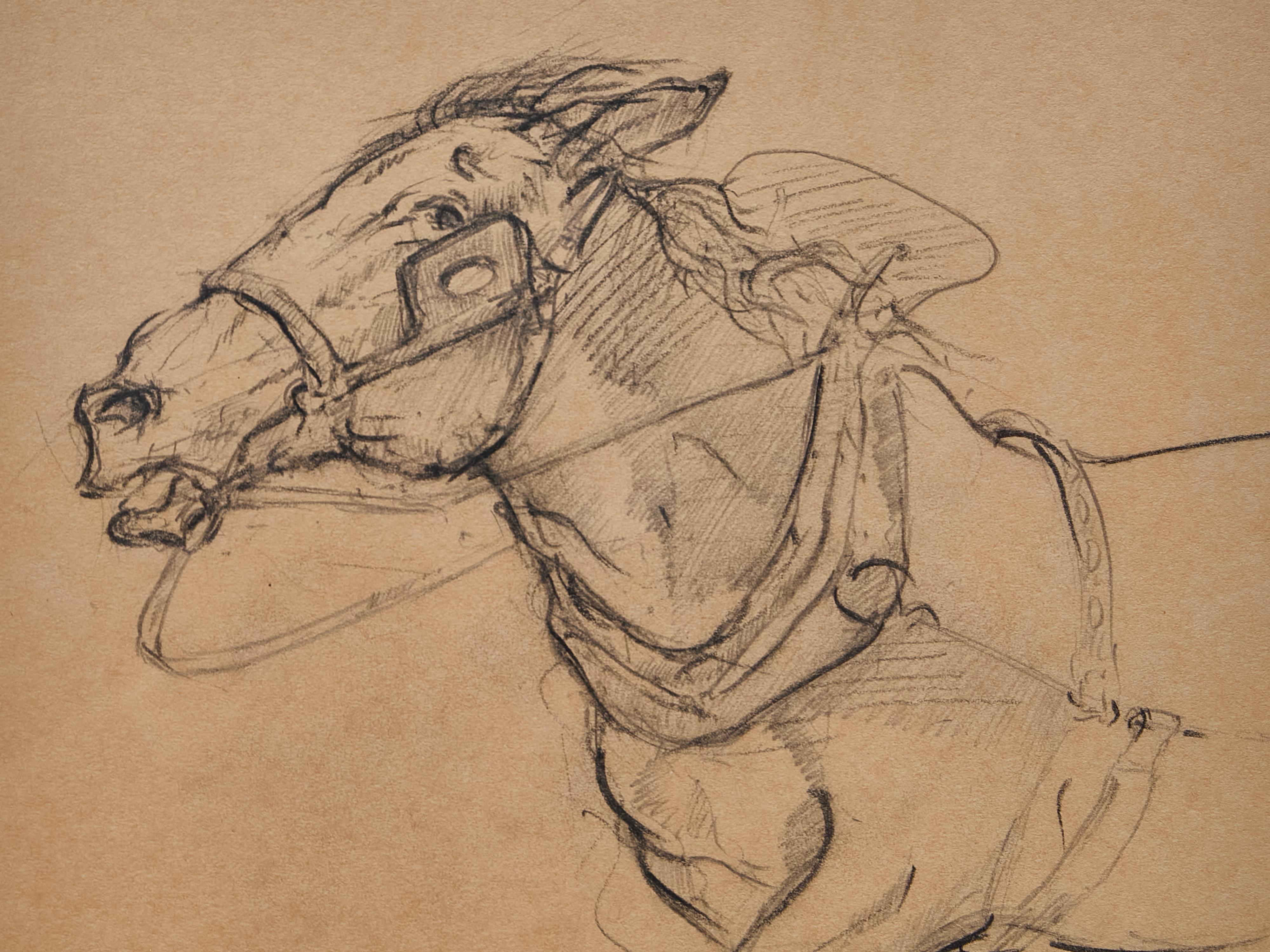 Glass Framed English Charcoal Horse Study on Toned Paper, Circa 1920 For Sale