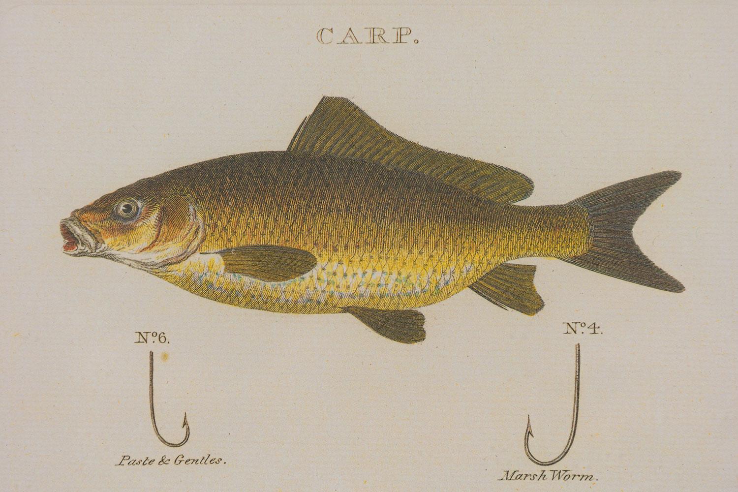 Gerahmt Englisch Georgian Style  Farblithographie von 2 Fischen, Haken und Köder (20. Jahrhundert) im Angebot