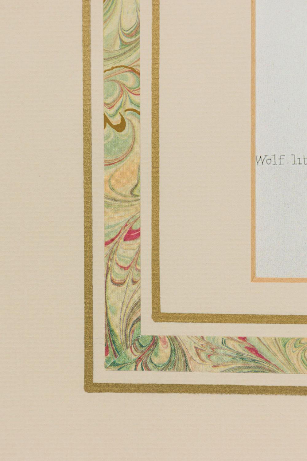 Framed English Victorian Print of a Black Haired Monkey (Pelz) im Angebot