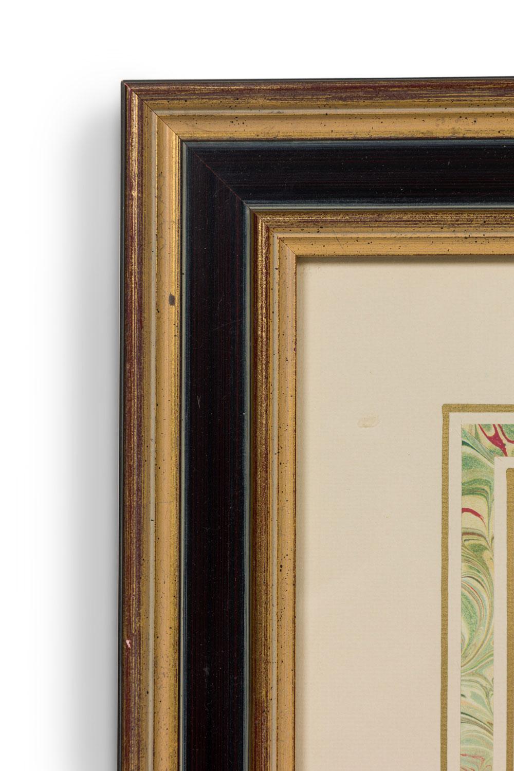 British Framed English Victorian Print of a Monkey Resting on a Branch For Sale