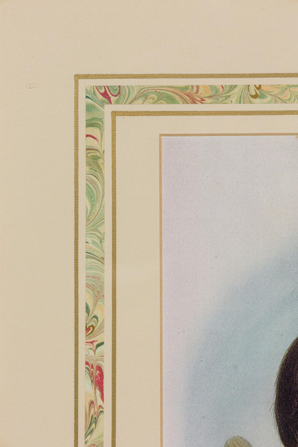 Framed English Victorian Print of a Monkey Resting on a Branch In Good Condition For Sale In Queens, NY