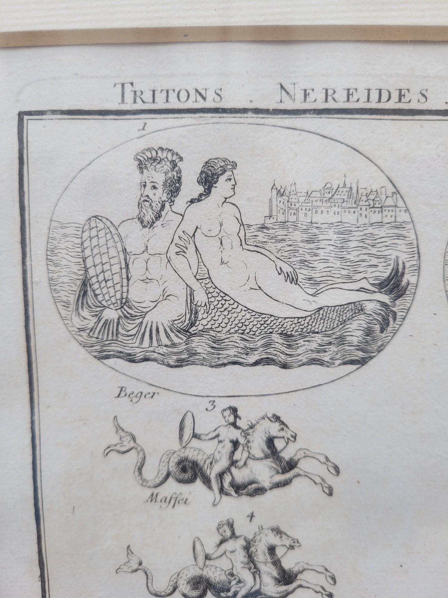 Greco Roman Framed Engraving, Nereid Tritons And Sea Horses, 17th/18th Century For Sale