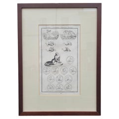 Grabado enmarcado, Tritones nereidas y caballitos de mar, Siglo XVII / XVIII