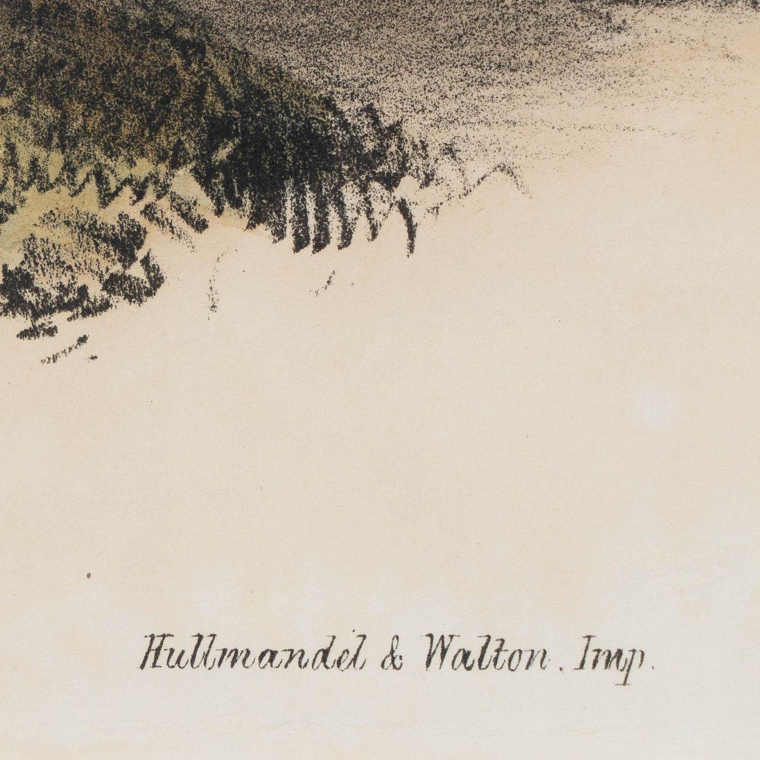 Original handkolorierte Lithographie auf Papier des vielfarbigen japanischen Fasans, mit Begleitnotizen von John Gould. Das Werk wurde auf Stein gezeichnet und von Jos handkoloriert. Wolf und Richter für die J. Gould-Ausgabe von 