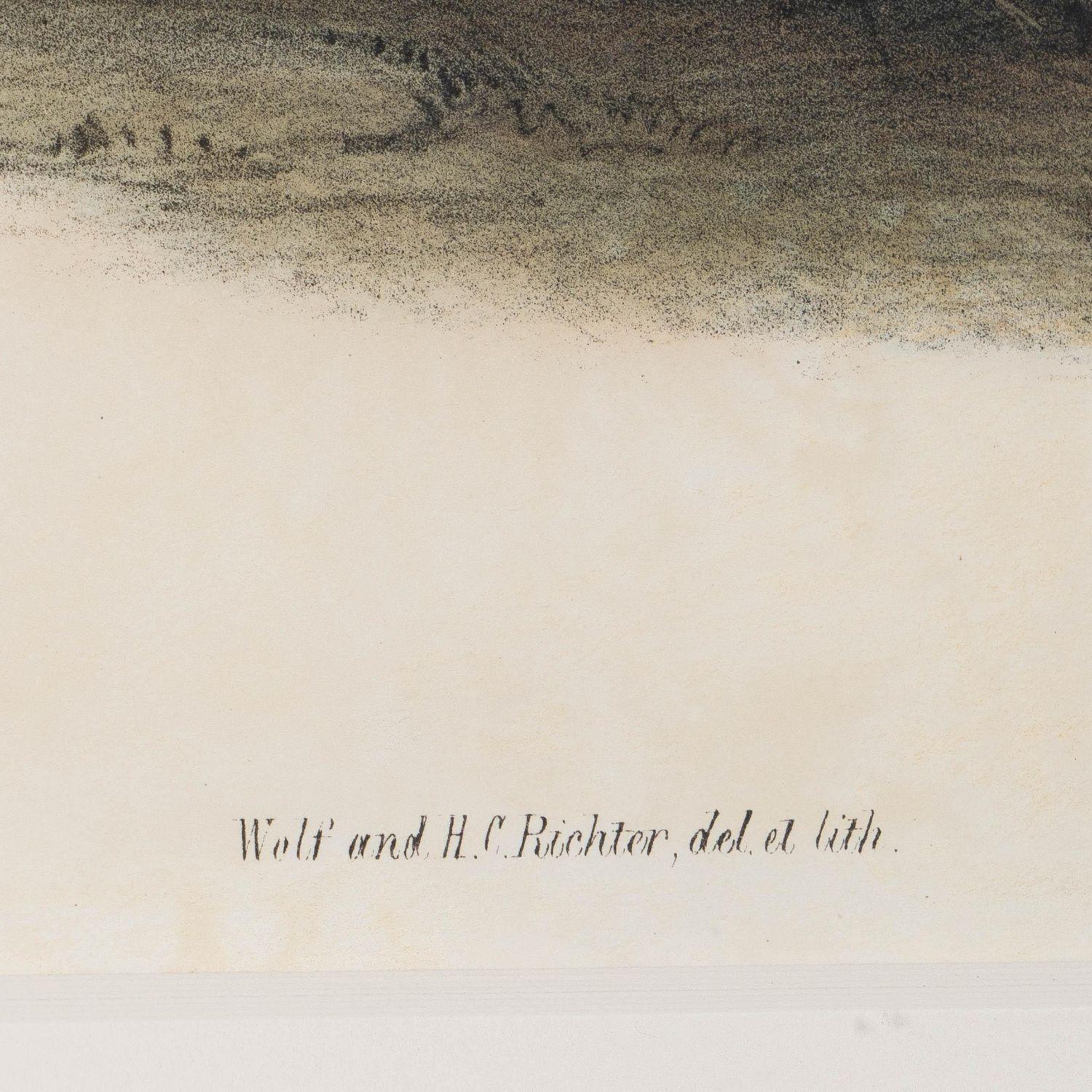 Anglais Gravure encadrée « Phasianus Versicolor, Vieill » de John Gould en vente