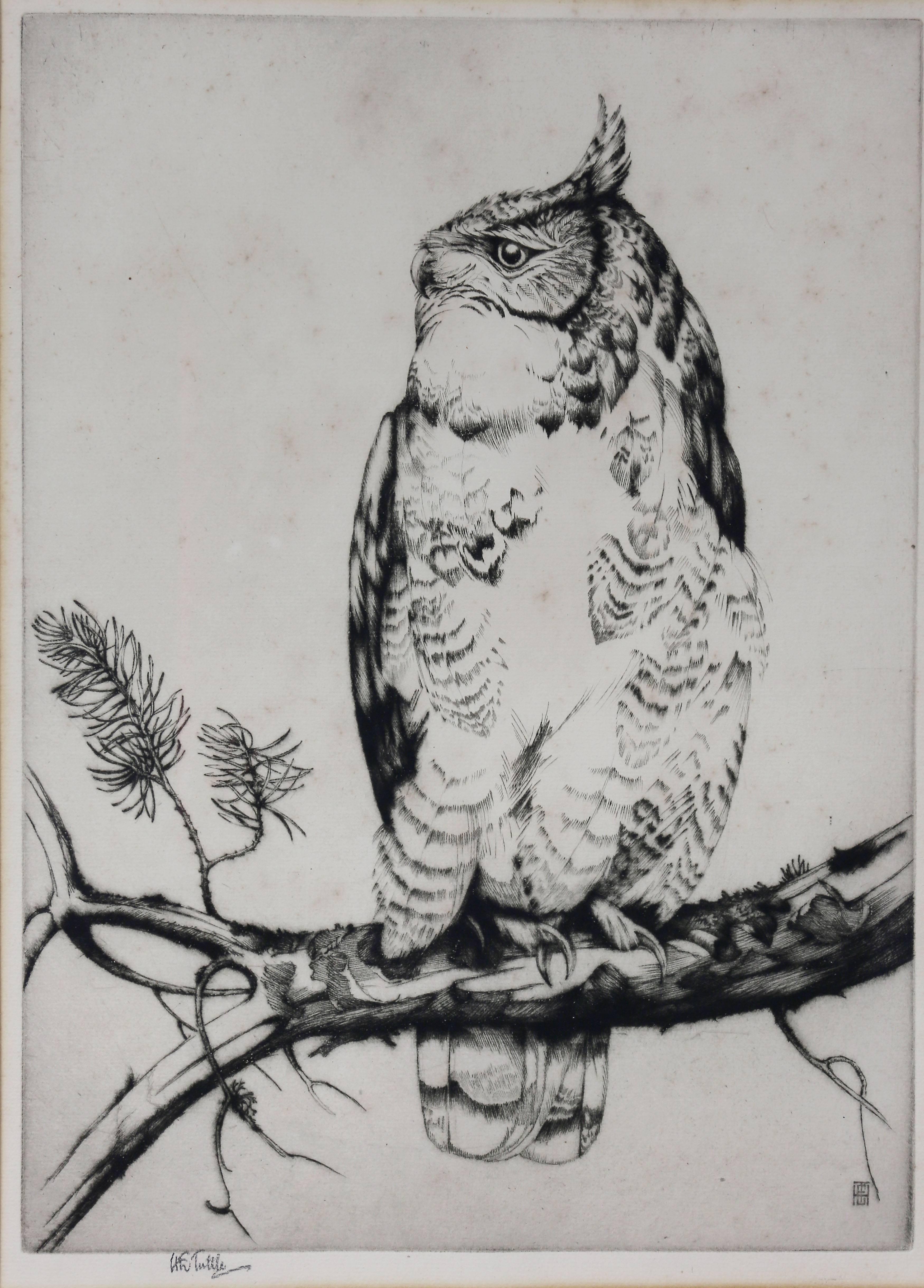 Depicting an owl standing on a branch. Signed lower left in pencil.