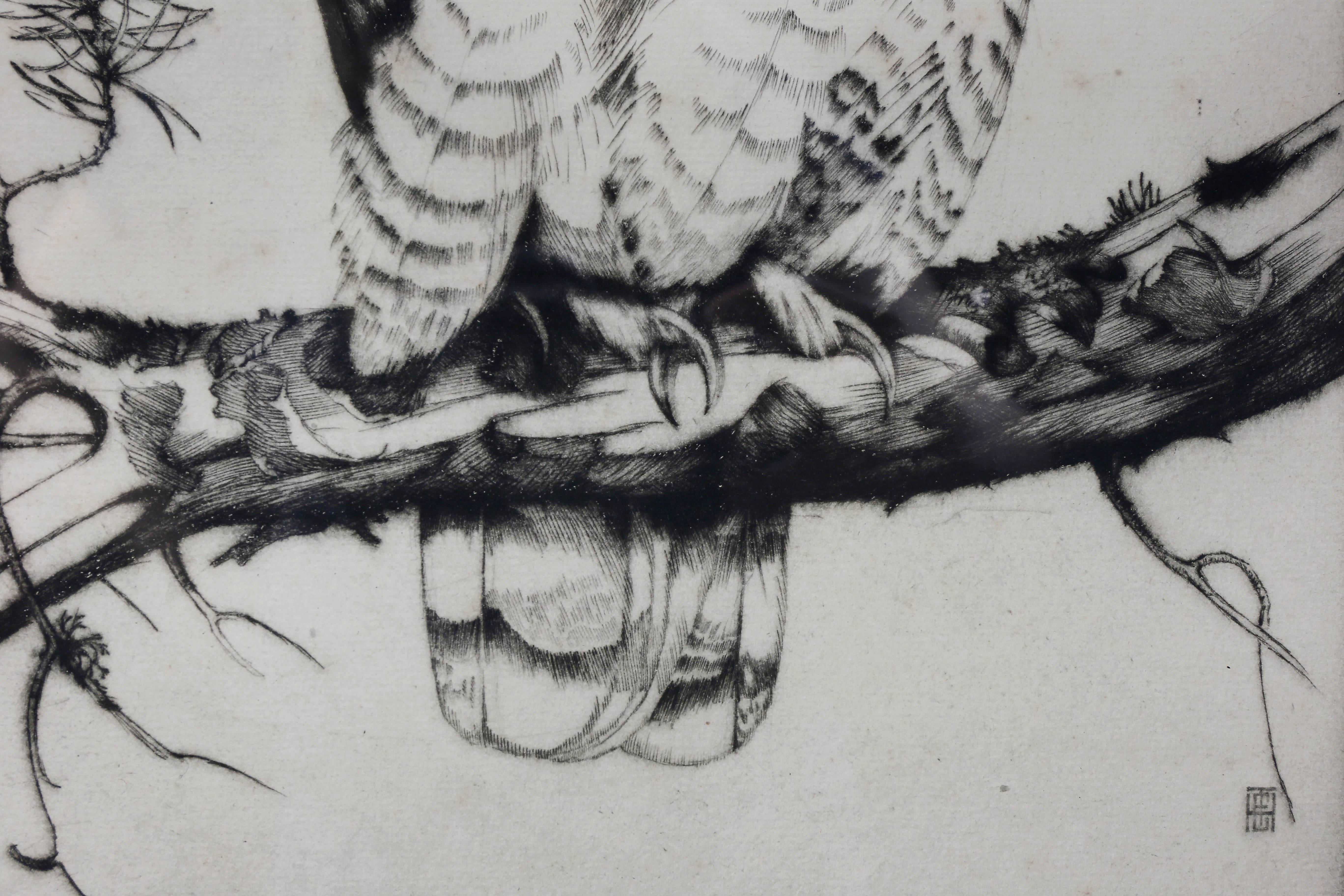 American Framed Etching of an Owl by Henry Emerson Tuttle