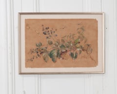 Framed French Vintage Botanical