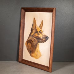 Gerahmter Deutscher Schäferhund Druck c.1940-1950