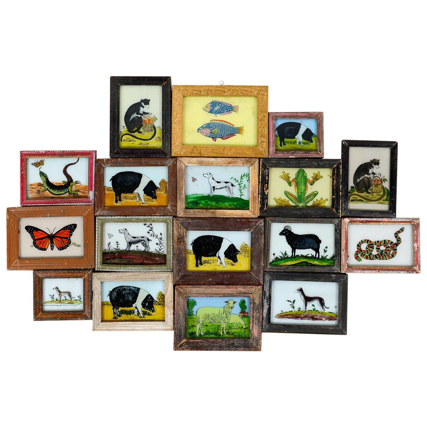 Framed Glass Paintings of Animals, 20th Century For Sale