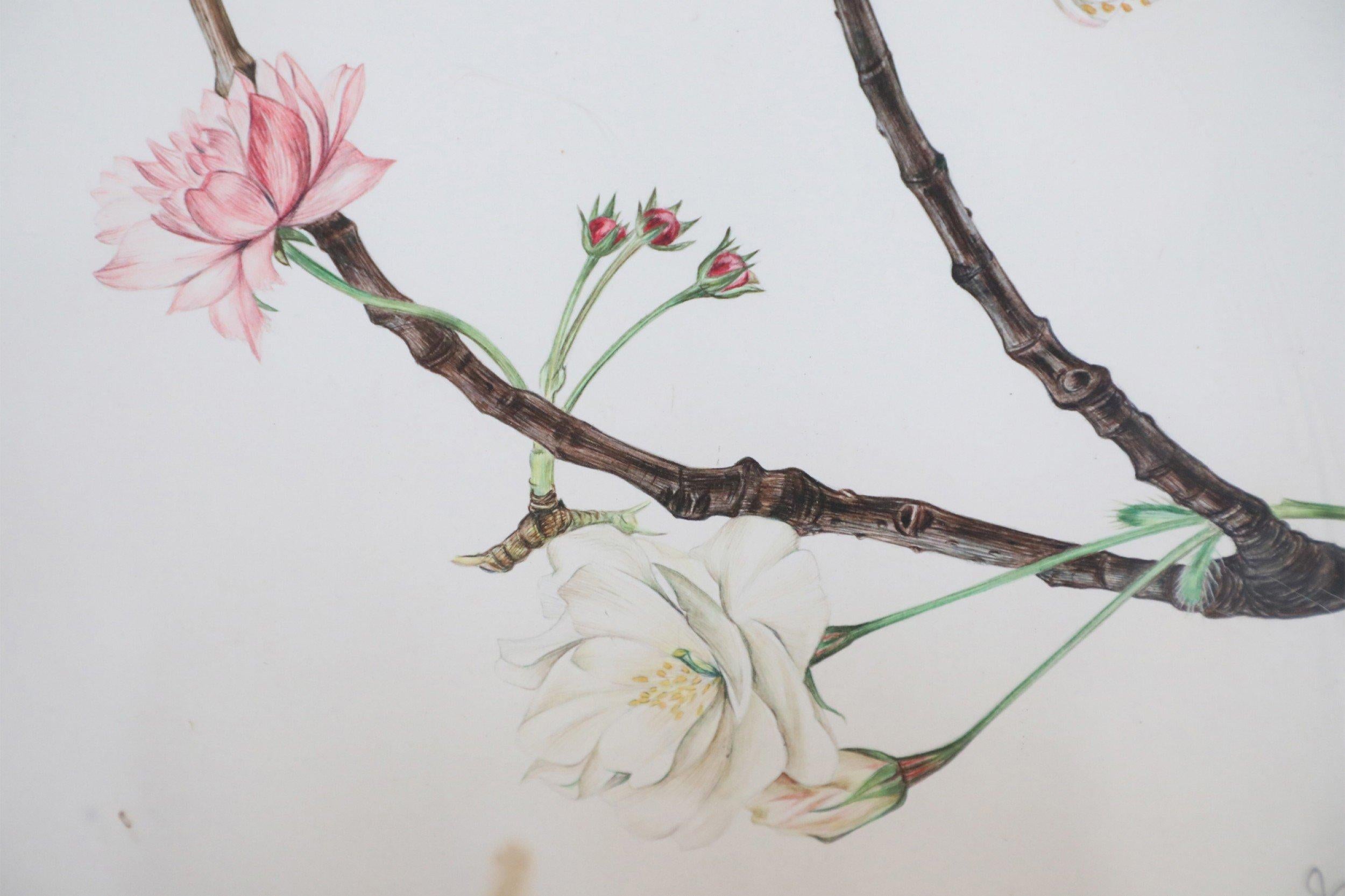 Framed Illustration of a Budding Flower Branch For Sale 4
