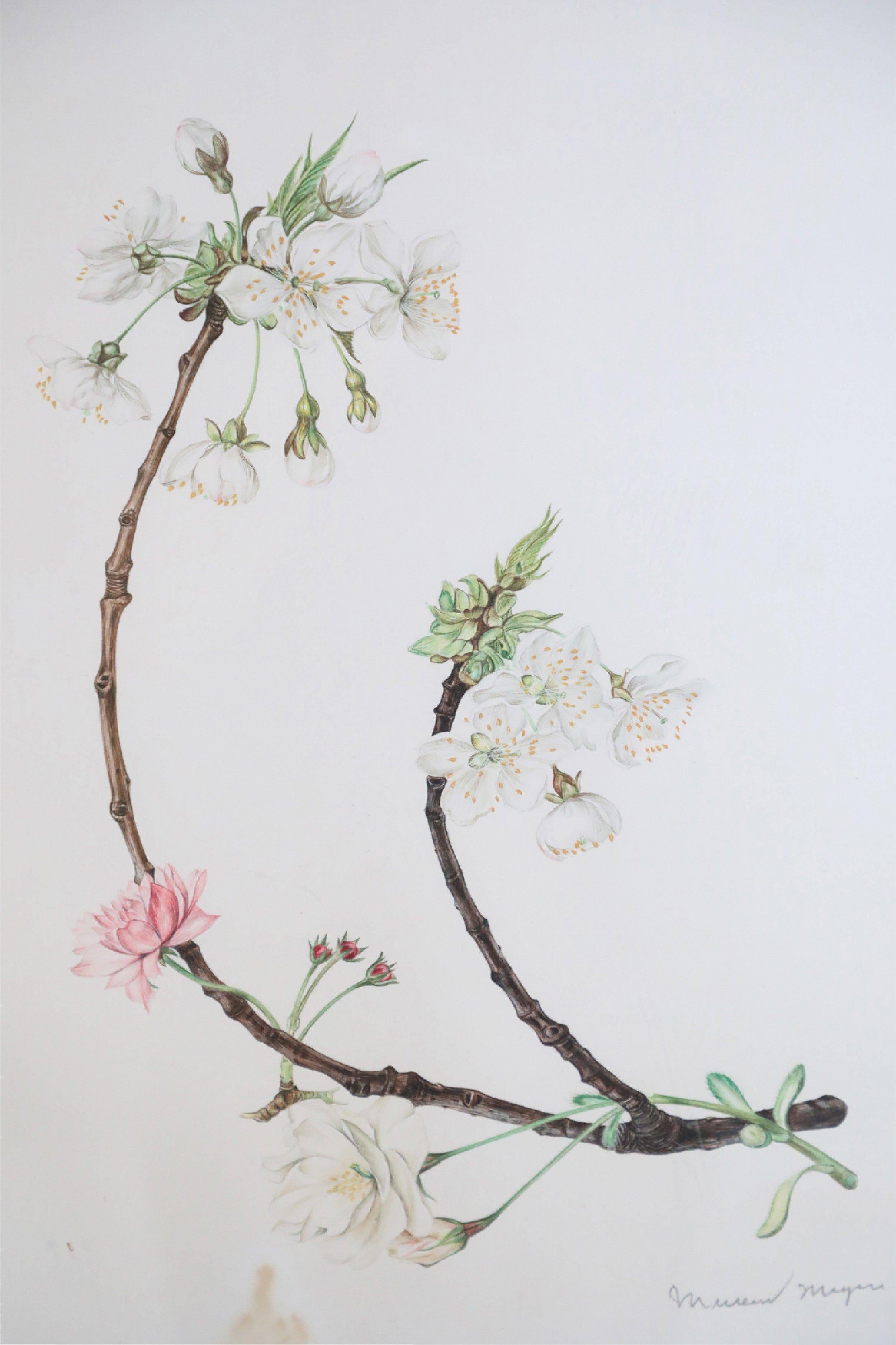 Framed Illustration of a Budding Flower Branch For Sale 2