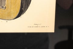 Framed Illustration of Antique Musical Instruments of Egypt