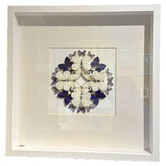 Framed "Inflorescence Prism Alternate” by Christopher Marley Embossed signature