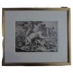 Framed Johann Elias Ridinger Engraving, 18th Stag Engraving