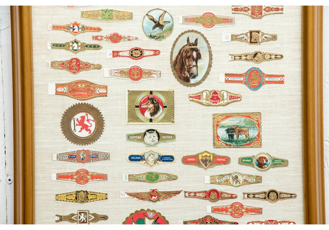 20ième siècle Grande collection d'anneaux de cigares vintage encadrés en vente
