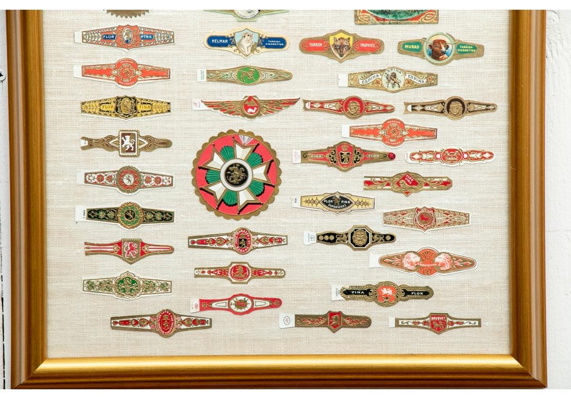 Lin Grande collection d'anneaux de cigares vintage encadrés en vente