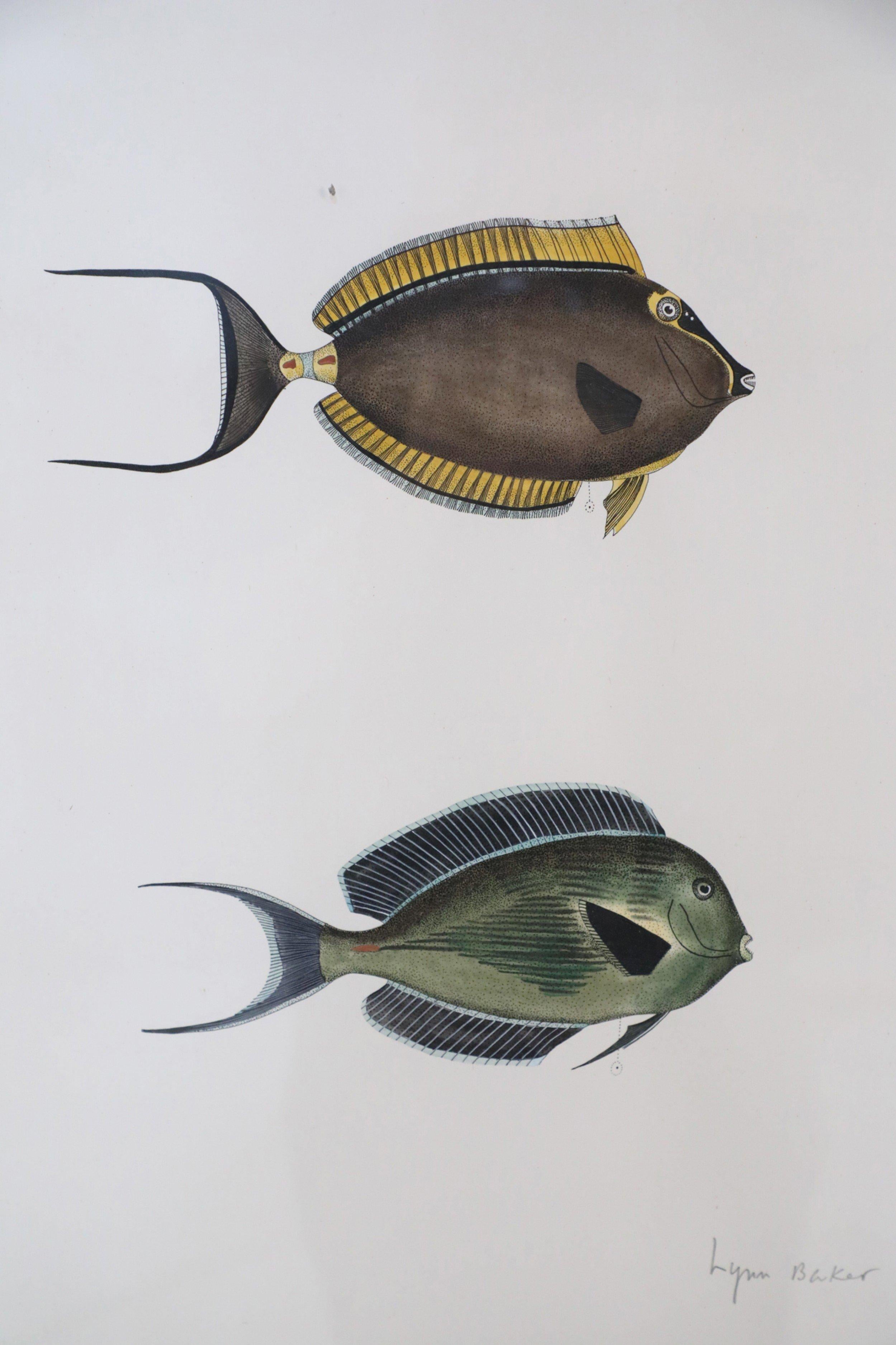 20th Century Framed Lithograph of Two Brown and Gray Tropical Fish For Sale