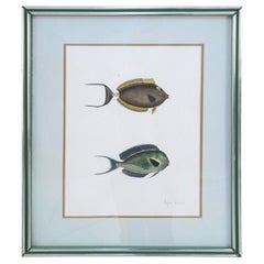 Lithographie encadrée de deux poissons tropicaux bruns et gris
