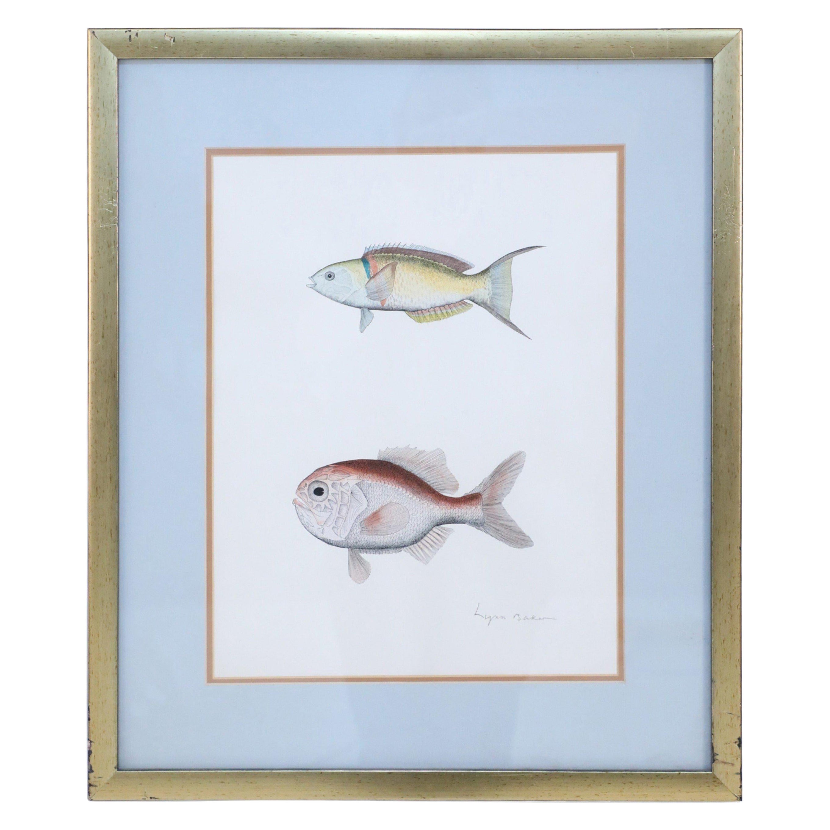 Gerahmte Lithographie mit zwei tropischen Fischen
