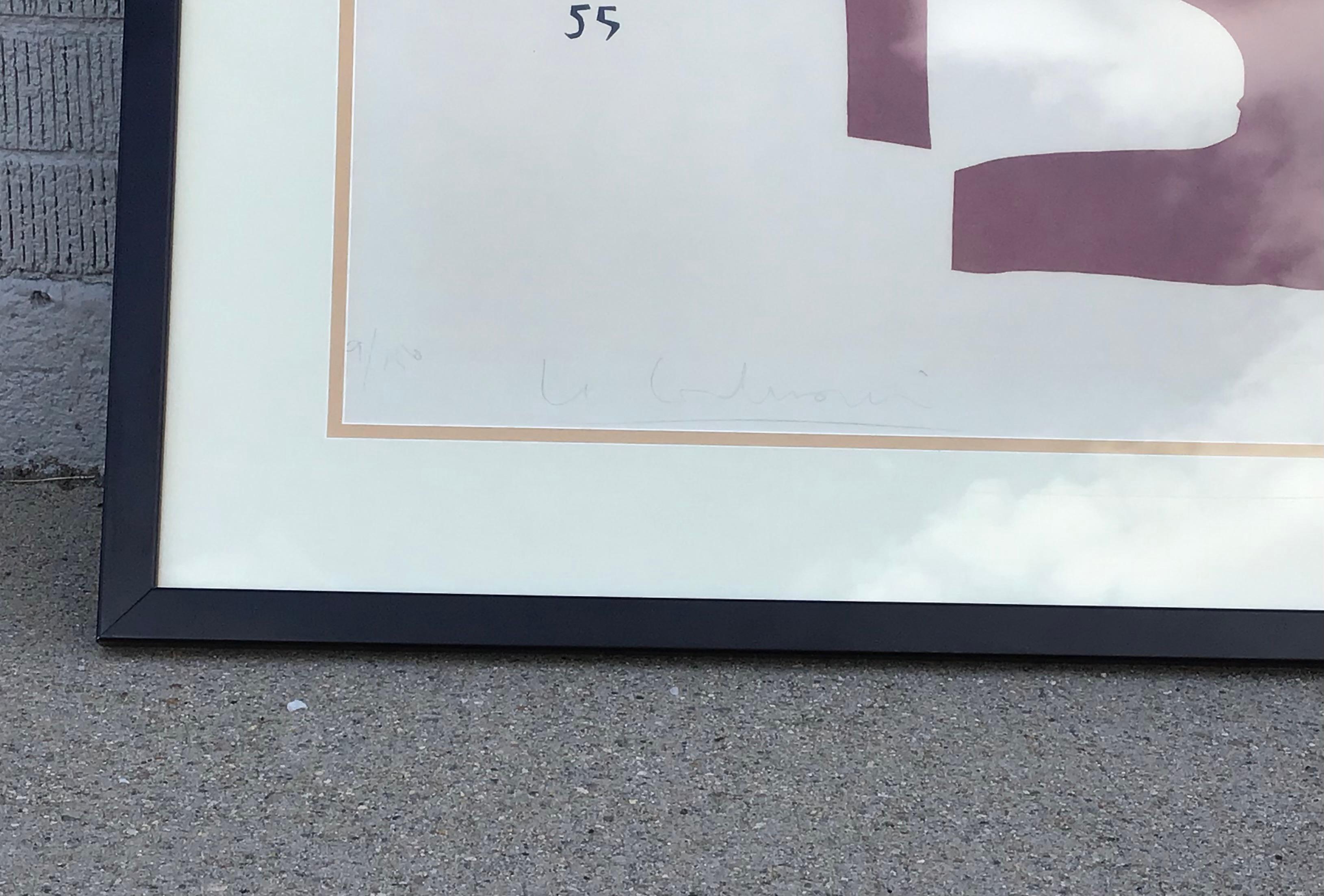 XX secolo Litografia incorniciata 