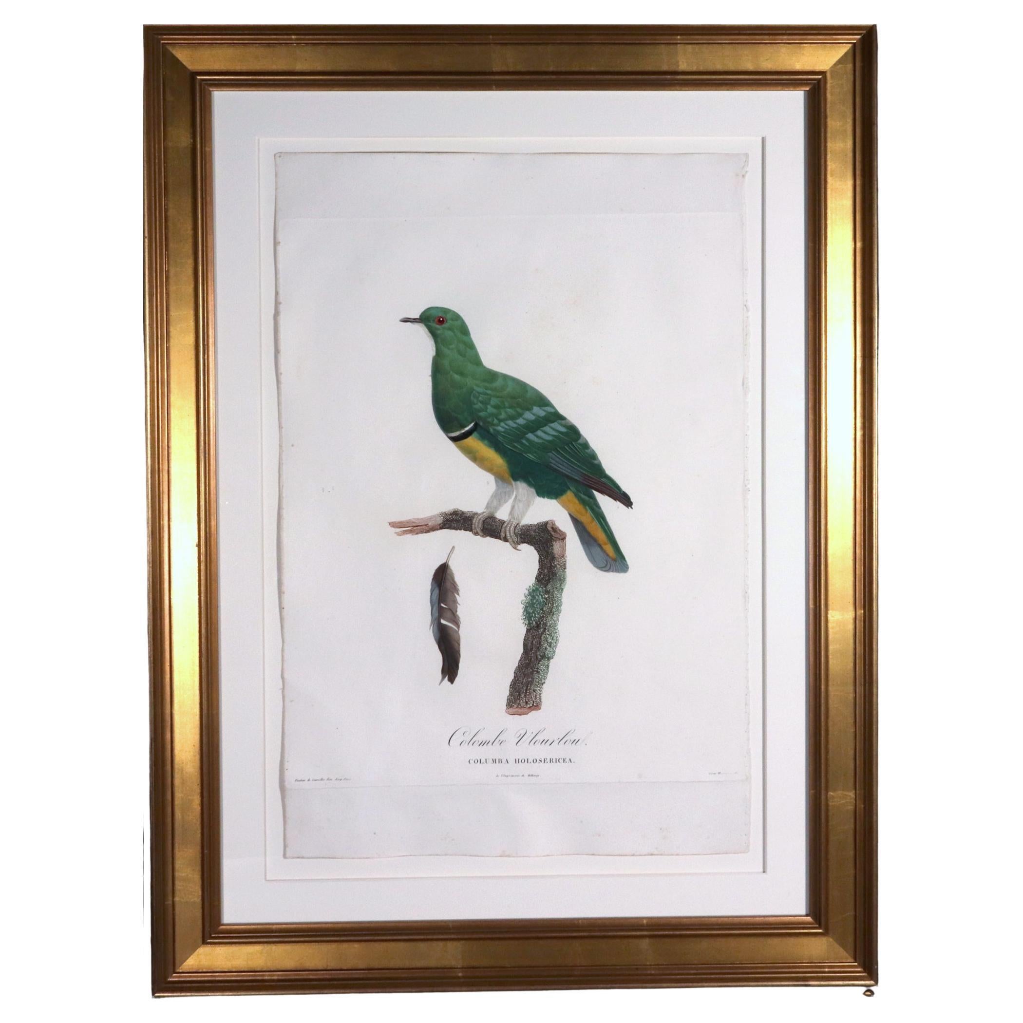 Kit de broderie Pauline Denham Blue Bird Dove vintage 1974 RARE