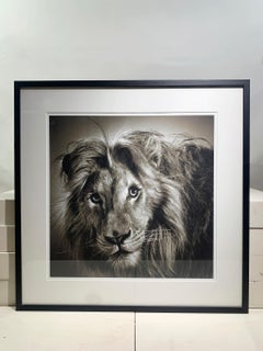 Stampa originale in edizione limitata "Massai" incorniciata, firmata da Alexander Von Reiswitz