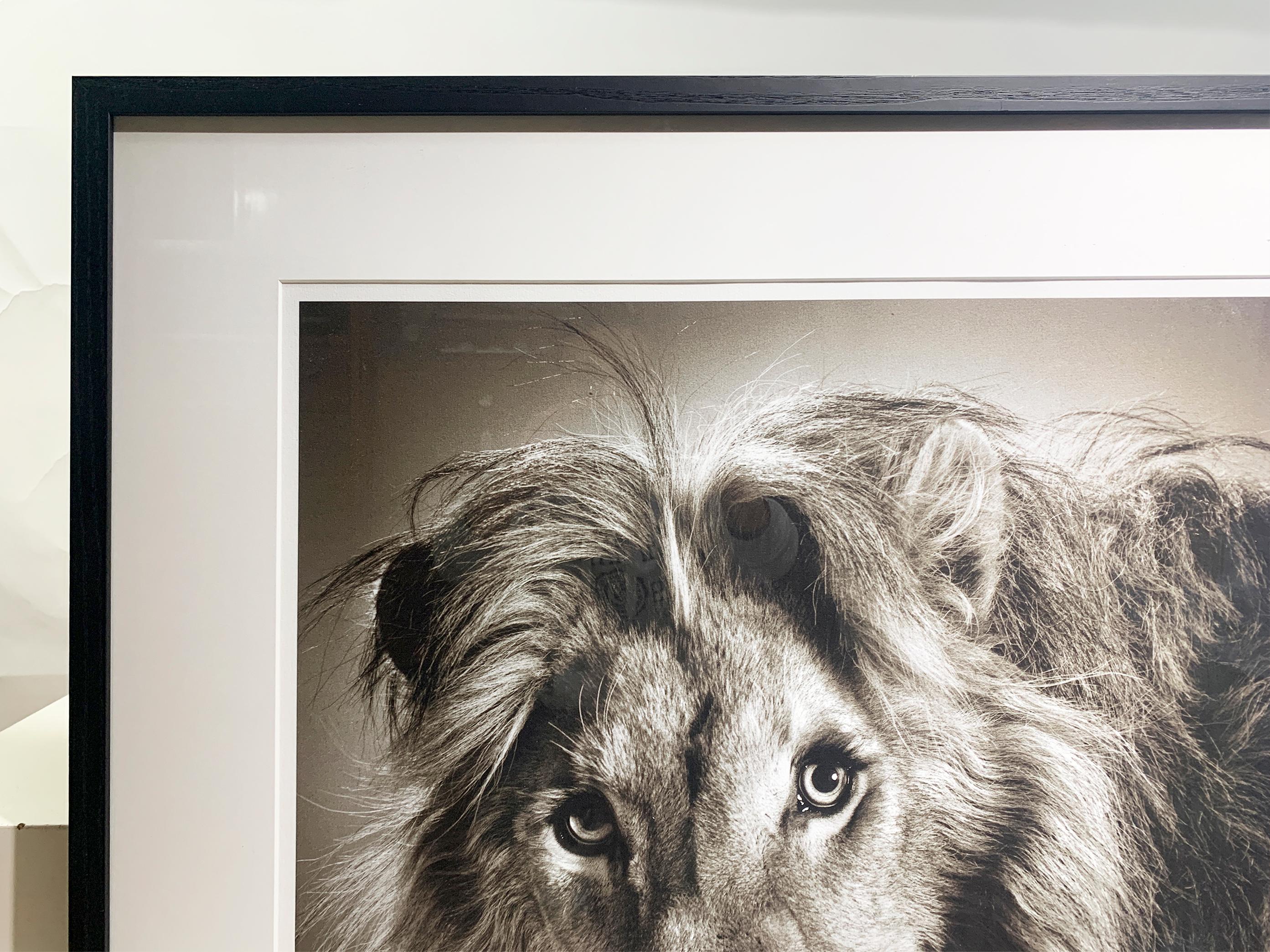 Other Framed 