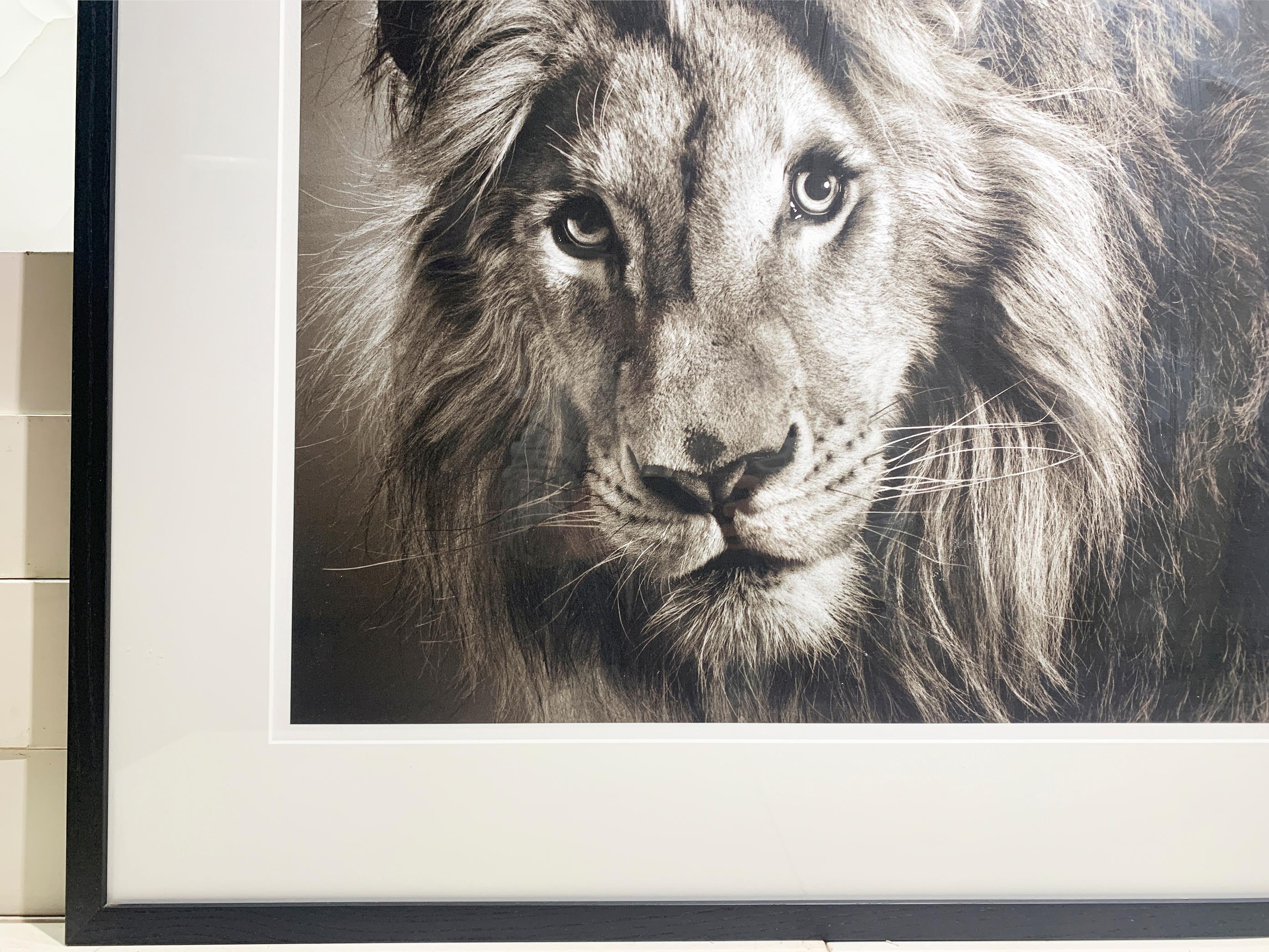 German Framed 