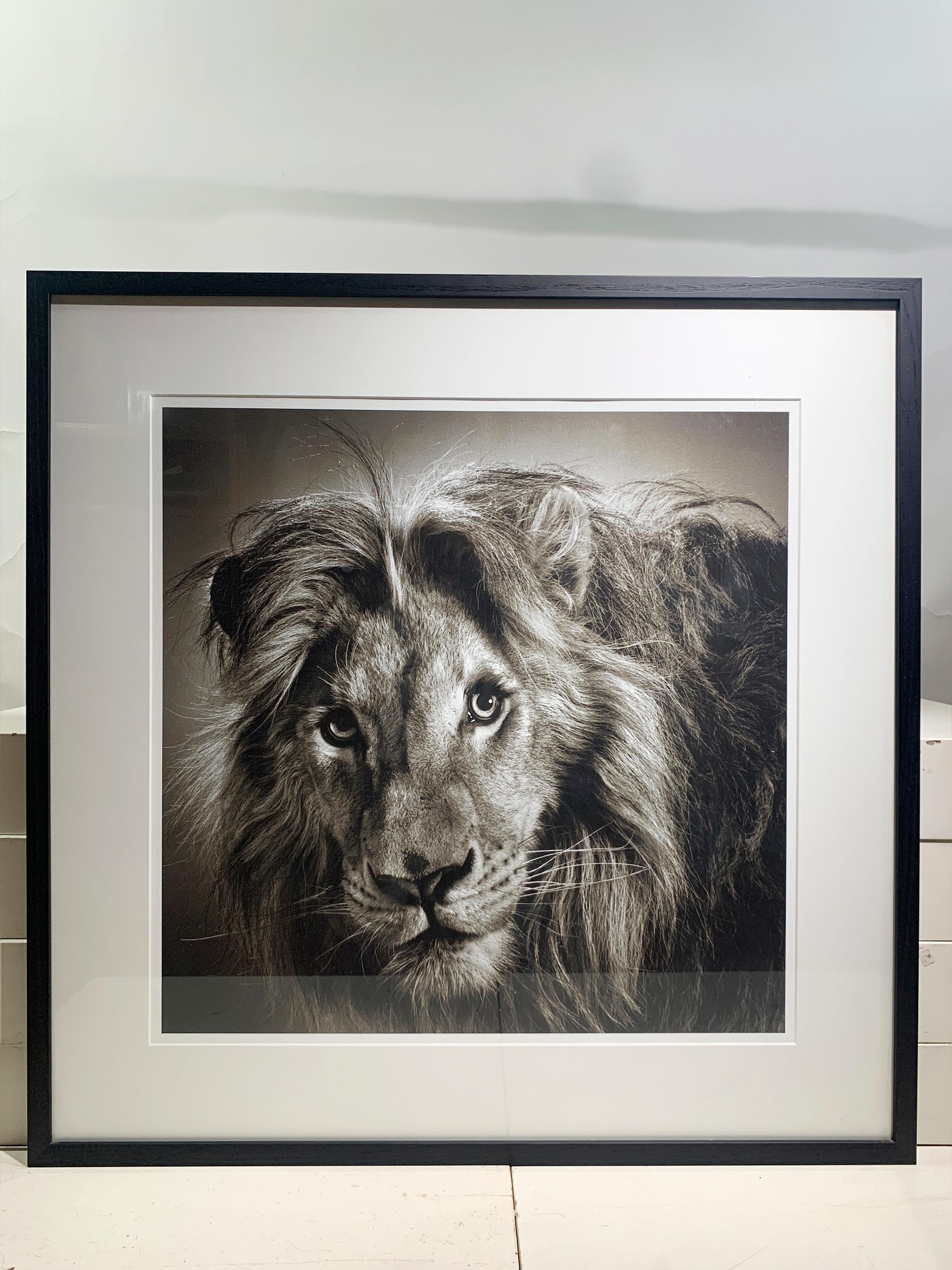 Framed 