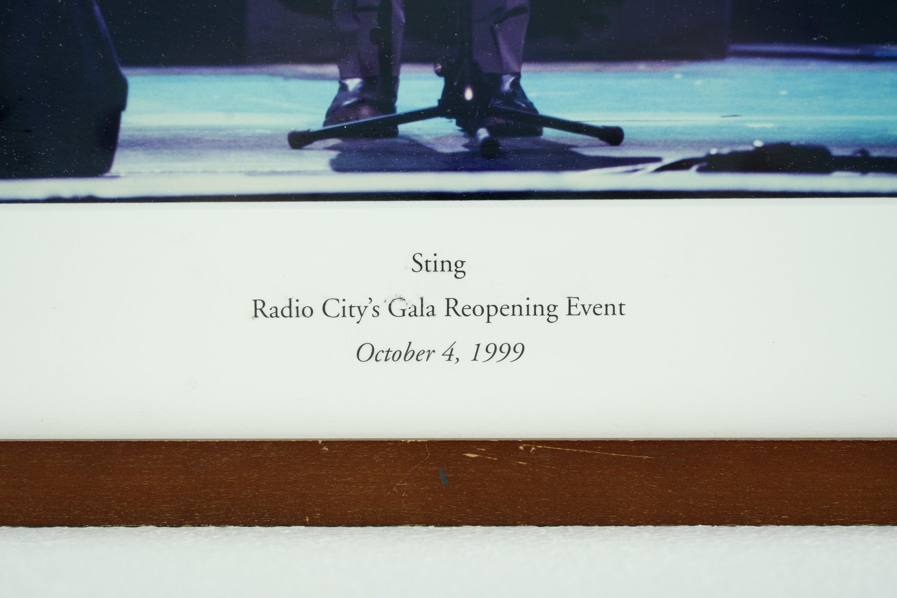 Painted wood framed and matted photograph of Sting at Radio City's Gala Reopening Event. October 4, 1999. The glass is intact and there is a mounting wire attached to the back. This is in good condition, with some scratches in the frame. Please