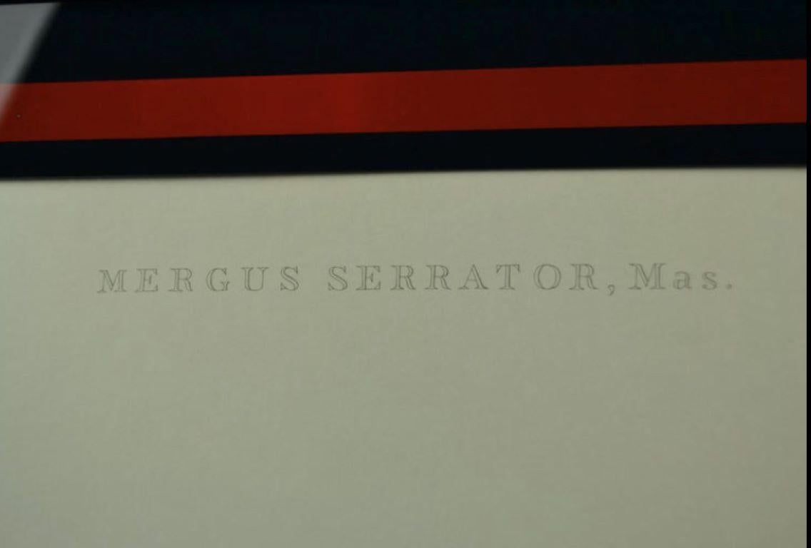 Framed Mergus Serrator print In Good Condition For Sale In Antwerp, BE