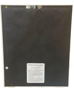 Framed “Morpho Caternarius” Butterfly by Christopher Marley Embossed Signature