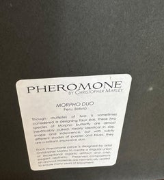 Framed "Morpho Duo” Butterflies by Christopher Marley Embossed Signature