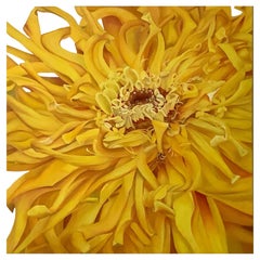 Framed Oil on Canvas "Aurelina - Yellow Mum" by Shelly Gurton