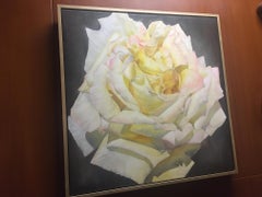 Framed Oil on Canvas Blush Rose "Blanca" by Shelly Gurton