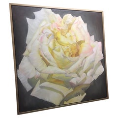 Framed Oil on Canvas Blush Rose "Blanca" by Shelly Gurton