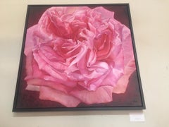 Framed Oil on Canvas Pink Rose " Viviene" by Shelly Gurton