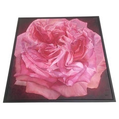 Framed Oil on Canvas Pink Rose " Viviene" by Shelly Gurton