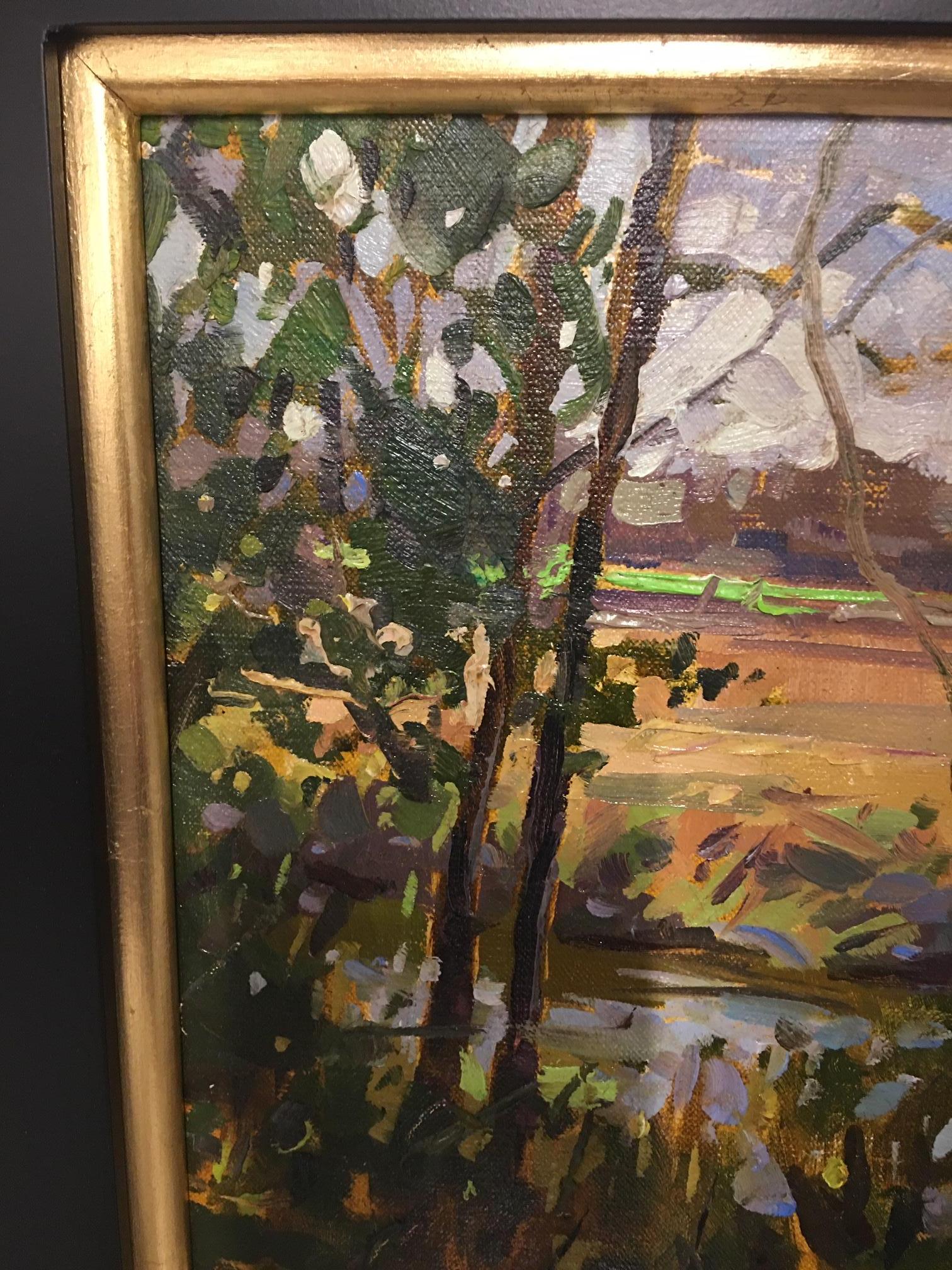 Framed Oil on Canvas Plein Air 