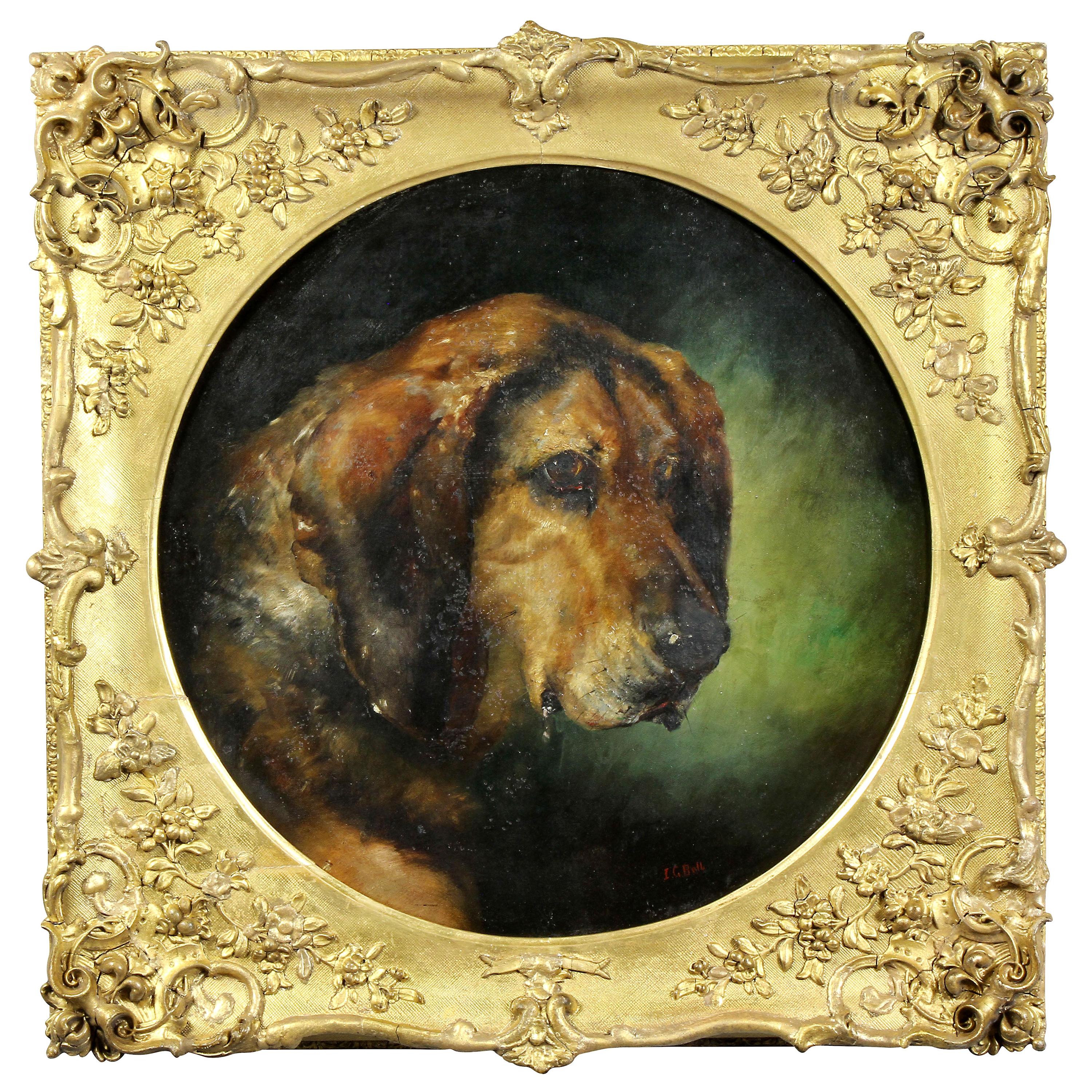 Framed Oil on Panel of a Dog